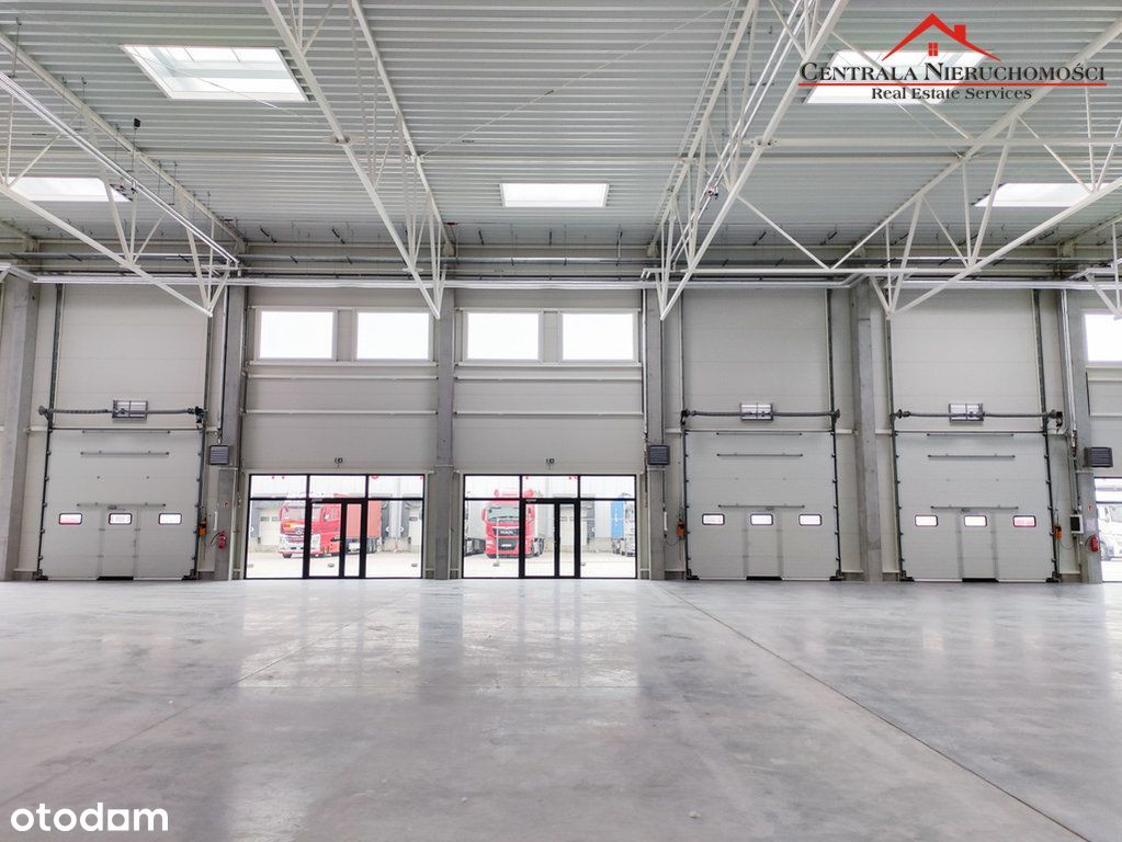 Hala /Magazyn 300 m2/ 1450 m2/ 4550 m2 + Biura