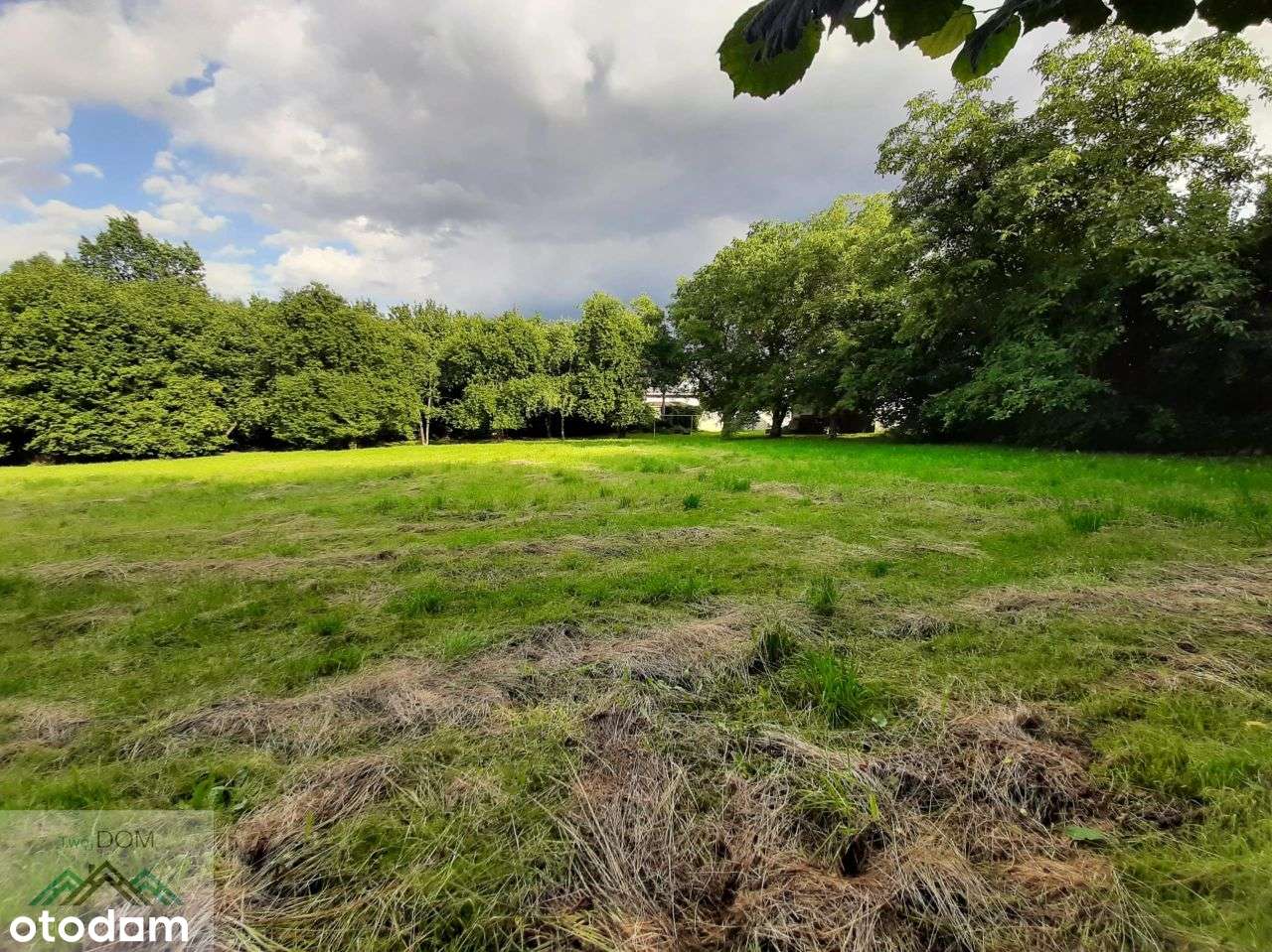 Gmina Bolesław - Ujków Nowy-8