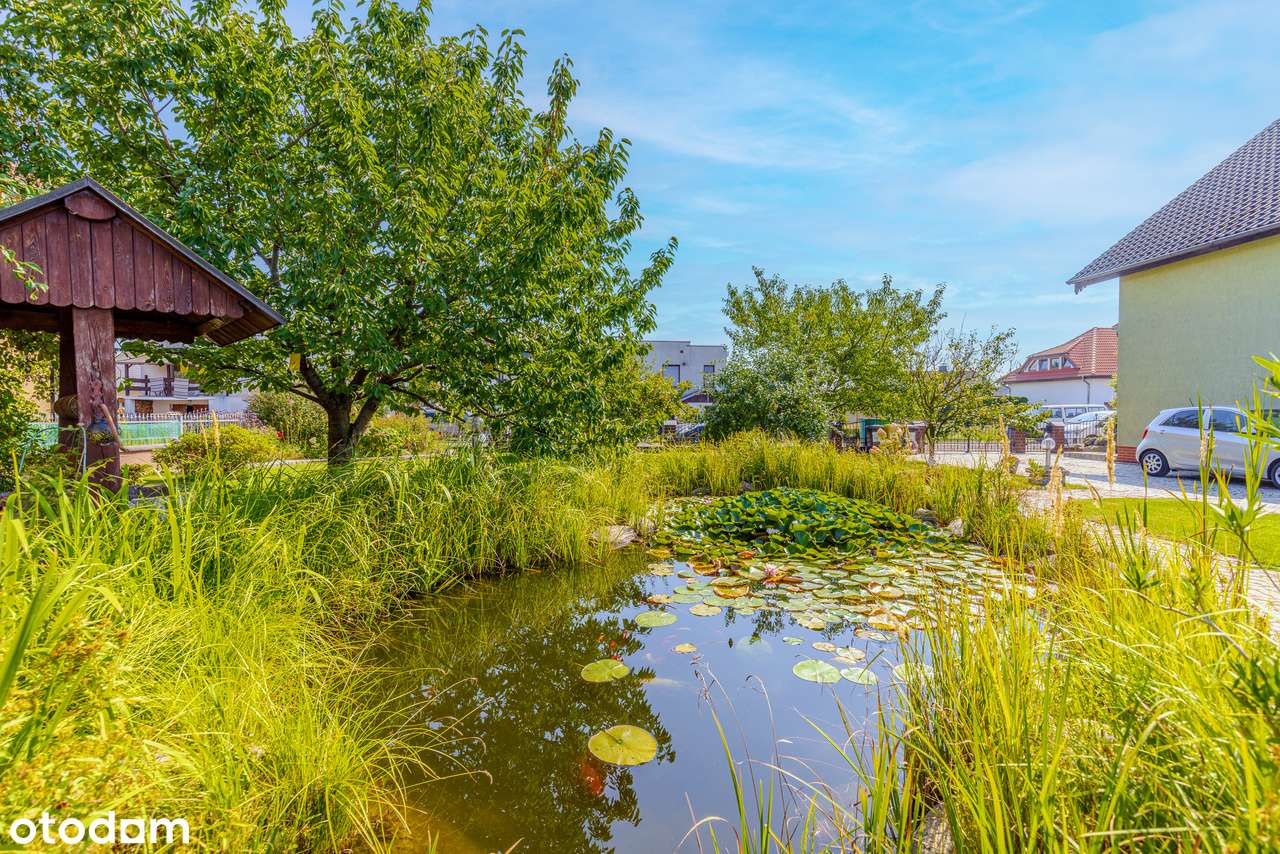 Dom w Modrzycy + bud. gospodarczy ,  działka 1.000 m2 - Pełny obrazek: 4/20