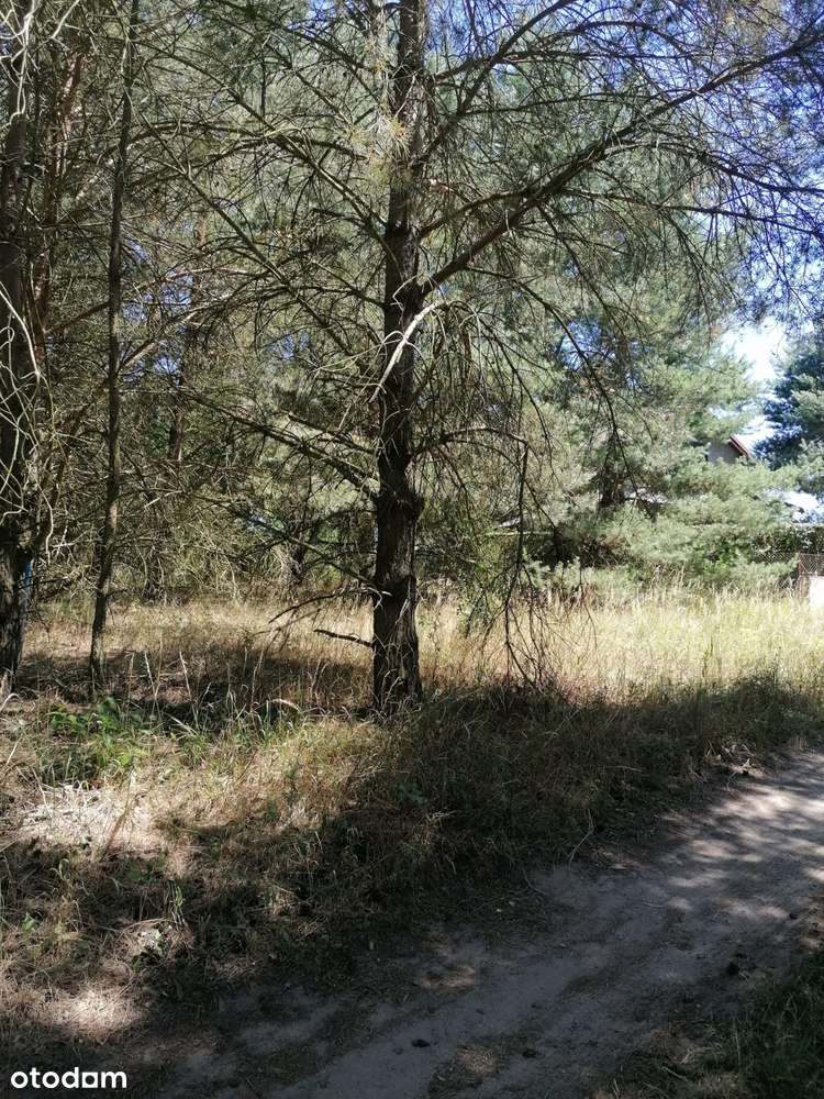 Ładna działka budowlana w lesie nad Jeziorem Tuczno-9