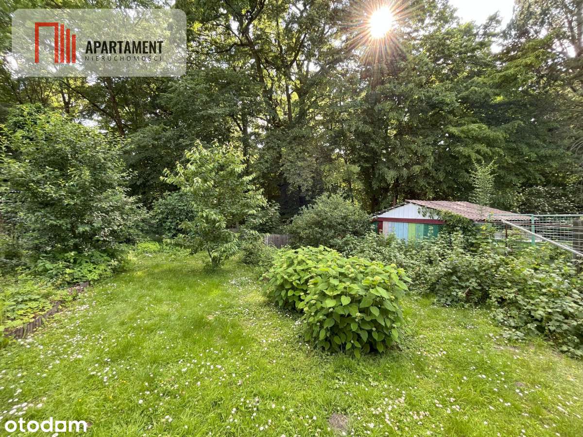 Zamieszkaj w Owidzu już teraz! - Pełny obrazek: 4/19