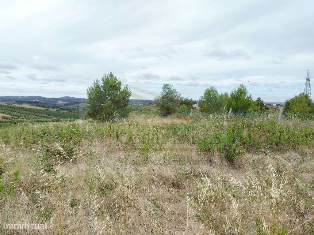 Terreno com 1440m2 com projeto aprovado - Grande imagem: 5/12