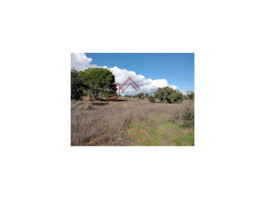 Terreno Rústico - 25.000 m² em Lagos, com Ligações, Acessos e Local...-8