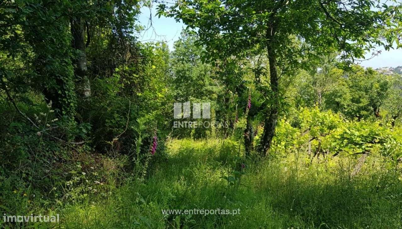 Venda Terreno,Várzea de Ovelha e Aliviada, Marco de Canaveses - Grande imagem: 4/9