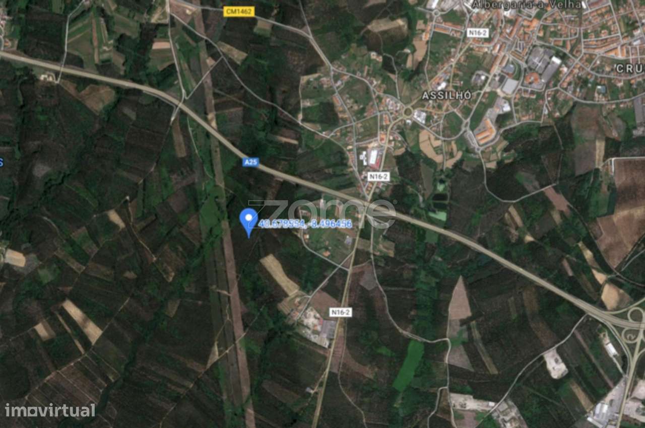 Terreno Florestal - Grande imagem: 2/17