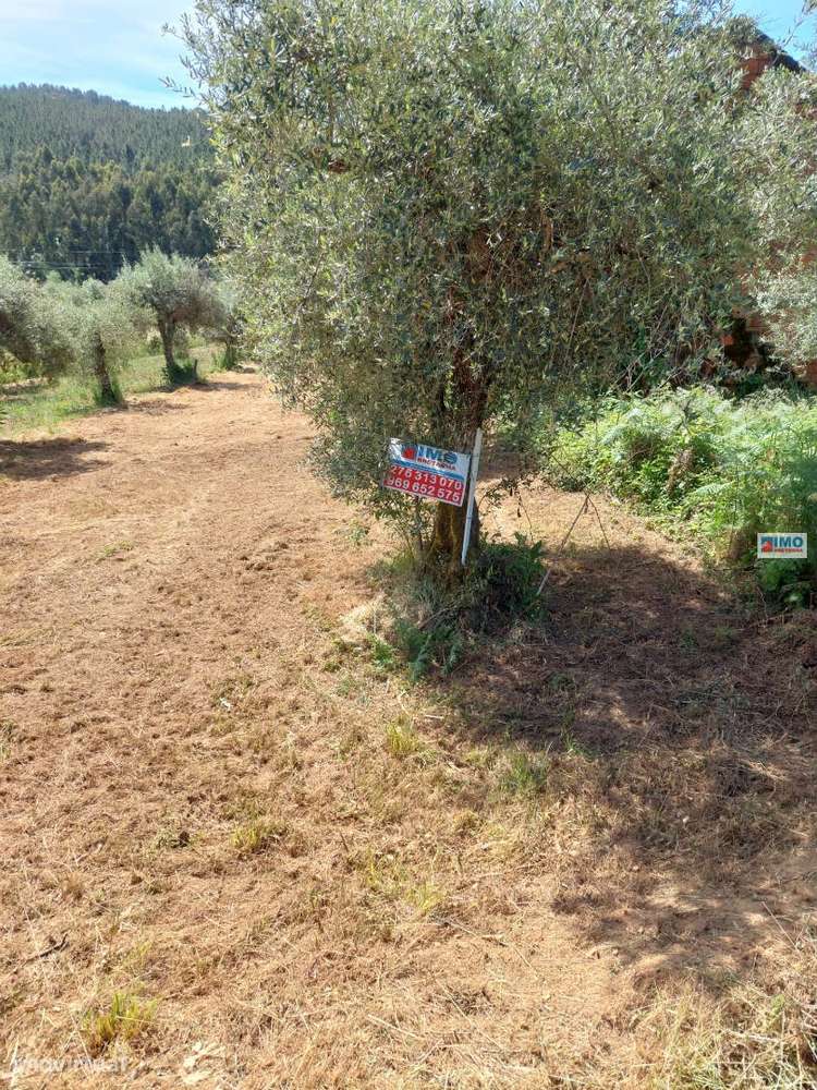 Terreno - Taliscas - Paul - Grande imagem: 2/7