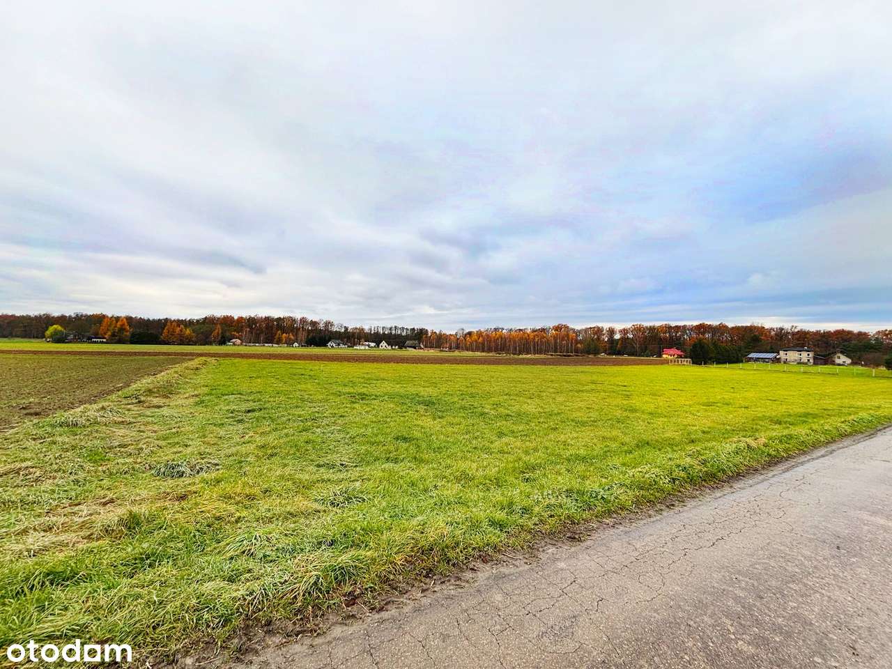 Duża działka z ogromnym potancjałem! - Pełny obrazek: 5/9