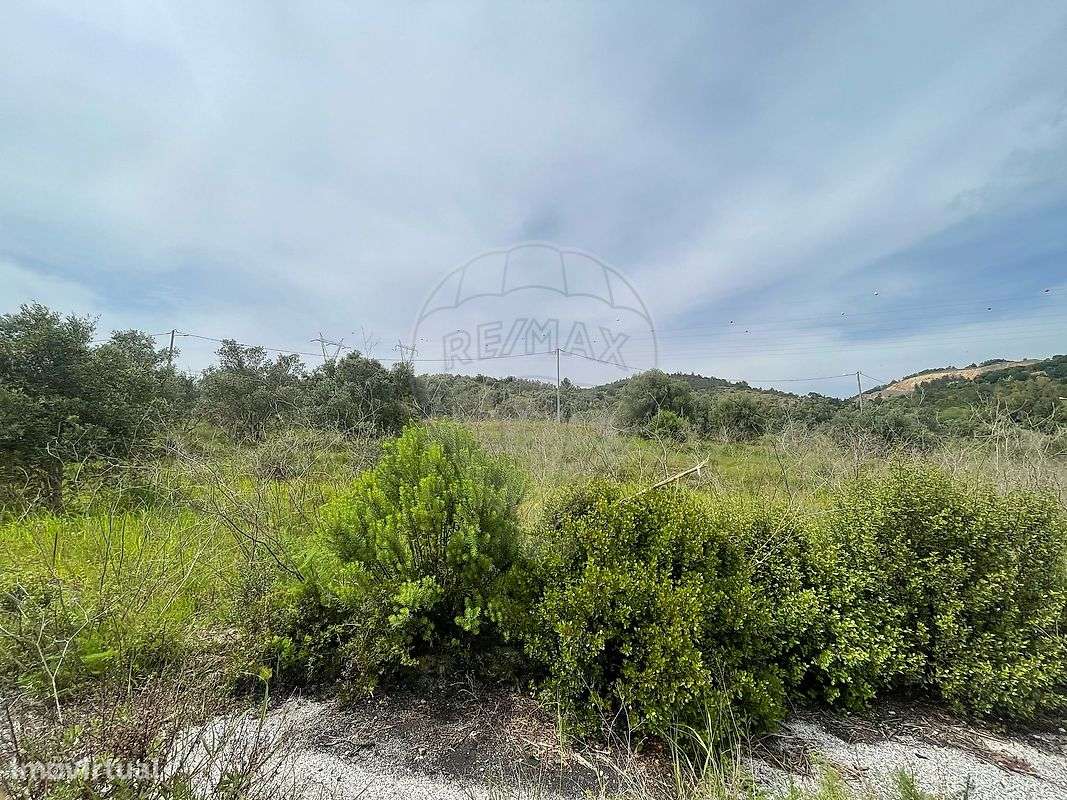 Terreno  para venda - Grande imagem: 3/14