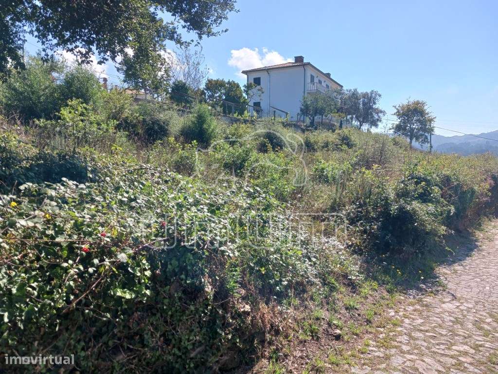 Oportunidade para Investidores - Grande imagem: 5/6