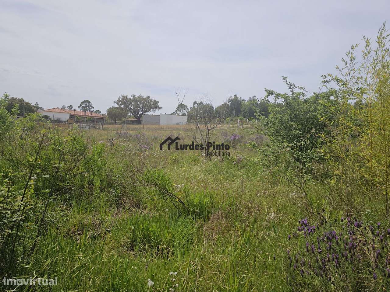 Quinta perto de Castelo Branco-17