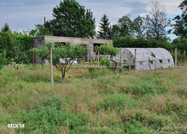 Valu lui Traian - Str. Tudor Arghezi nr. 5, teren intravilan 2.912 mp-12