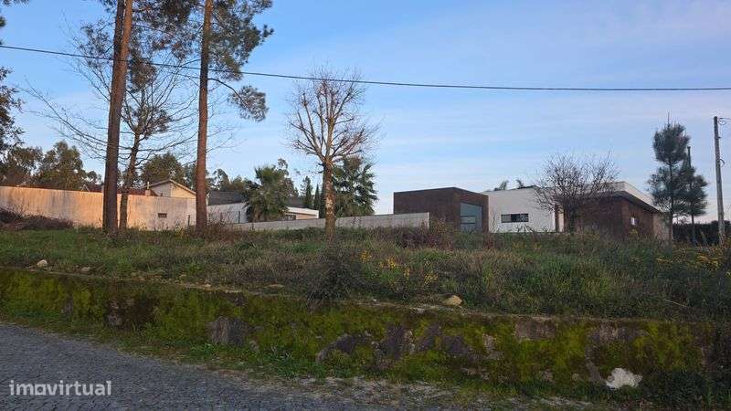 Terrenos em galegos  ,5mil euros de entrada - Grande imagem: 5/9