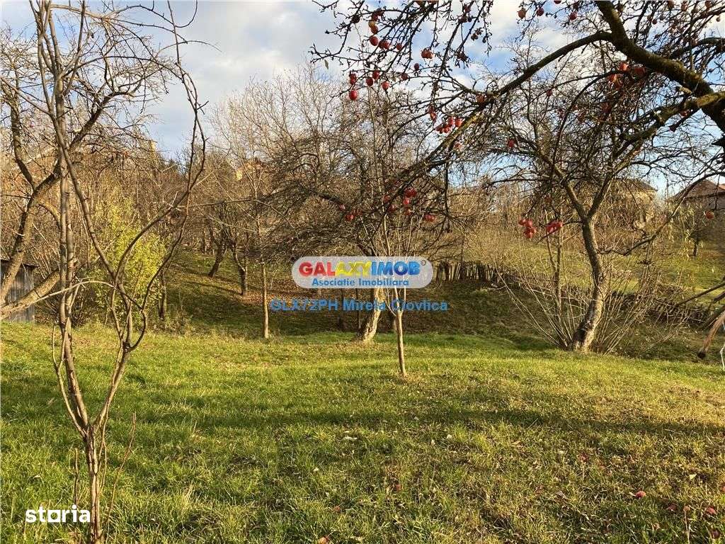 Vanzare teren cu casa batraneasca Secaria Prahova - Imagine principală: 5/10