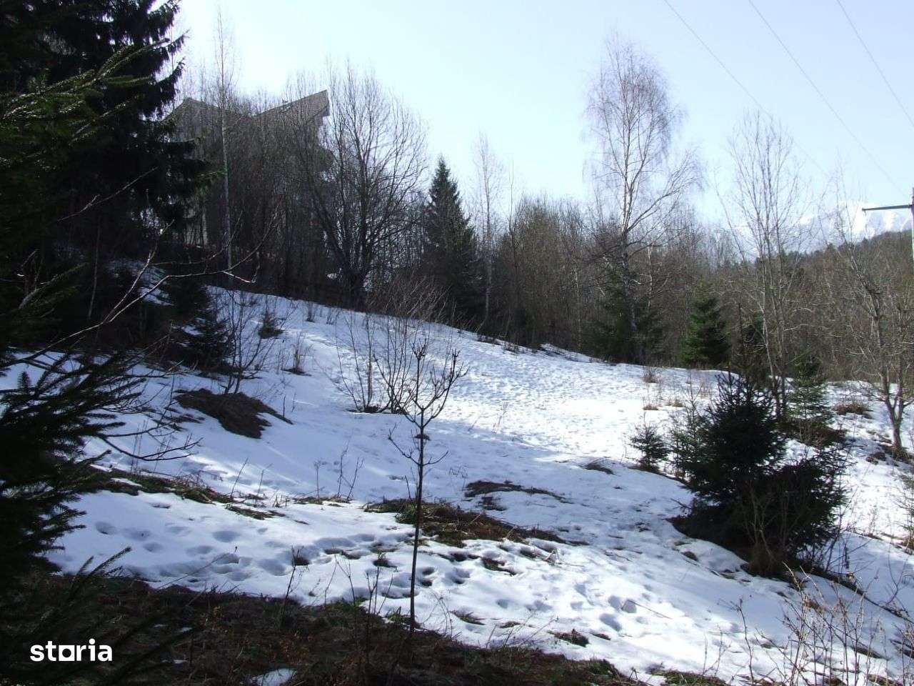 Teren de vânzare în zonă centrală cu acces asfaltat - Imagine principală: 5/14