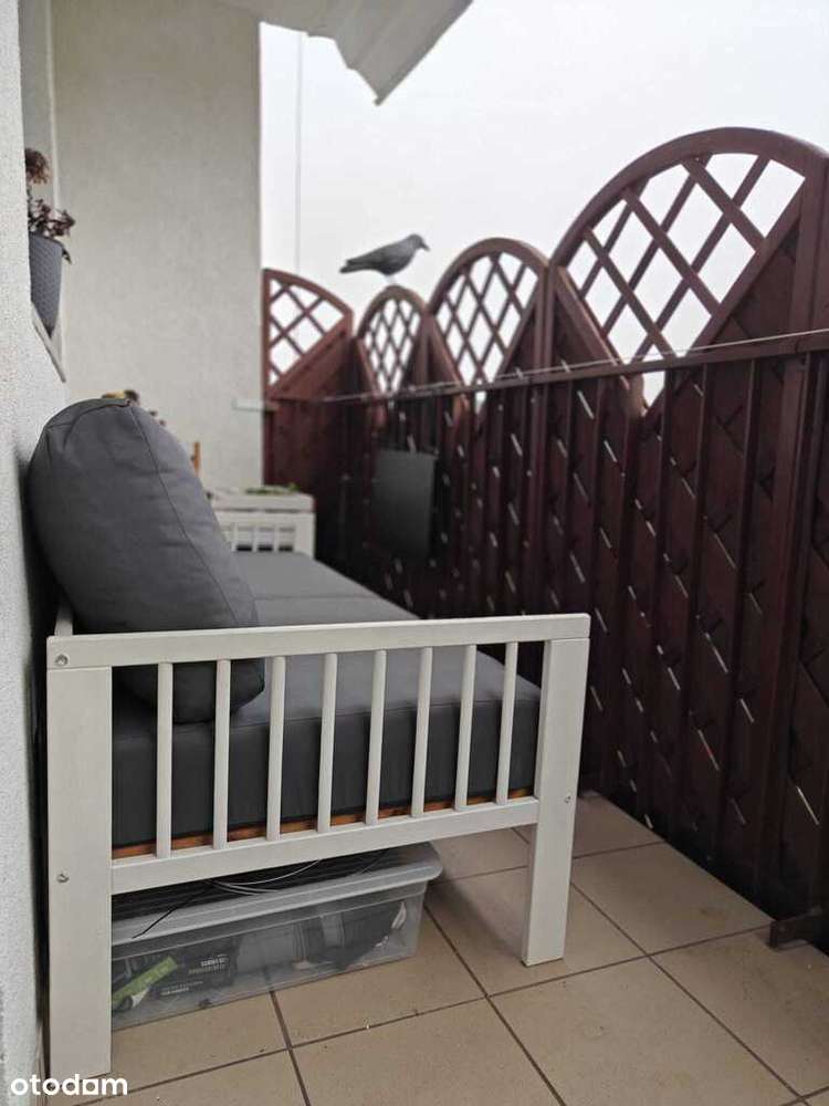 aktualna mieszkanie dwupokojowe z kuchnia - Pełny obrazek: 4/12