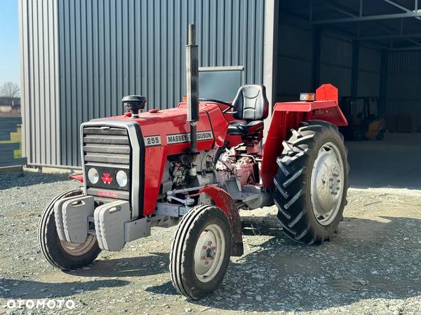 Massey Ferguson MF255 - 1