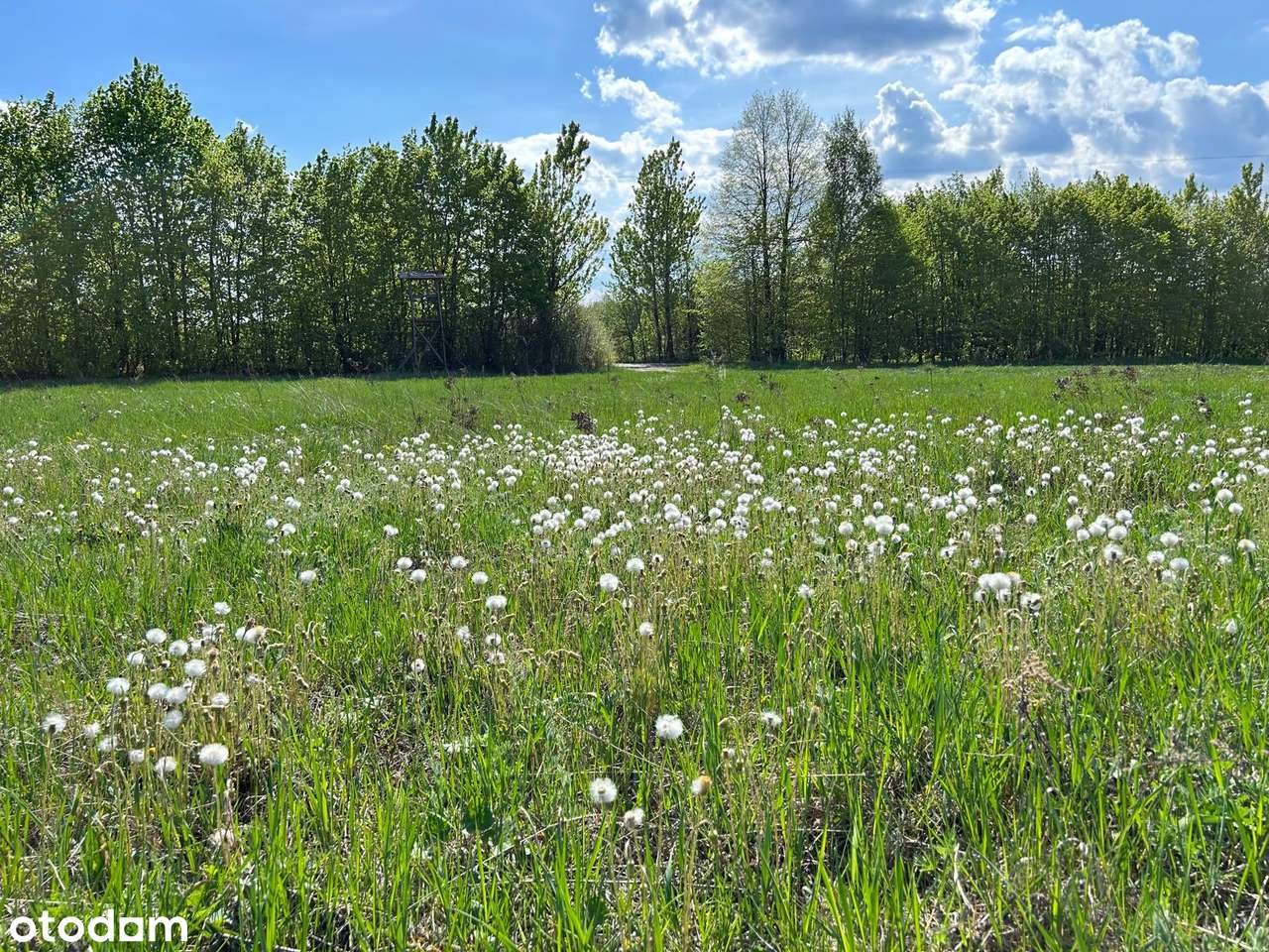 Działka budowlana, uzbrojona, blisko zamku - Pełny obrazek: 5/13