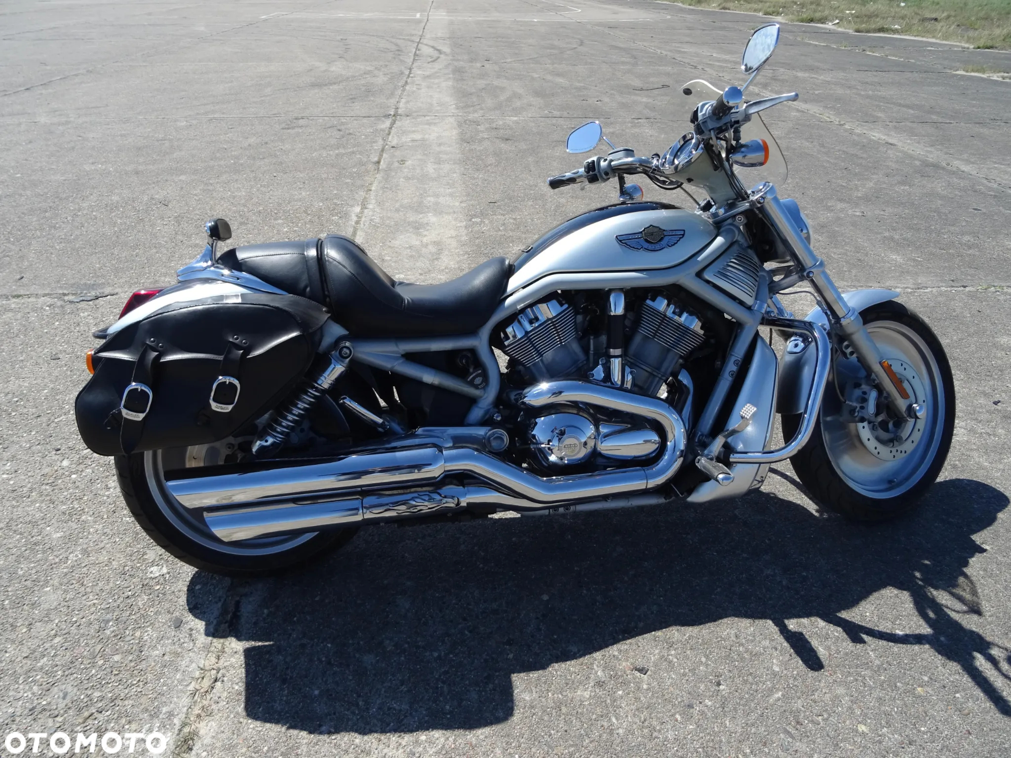 Harley-Davidson Softail V-Rod - 10