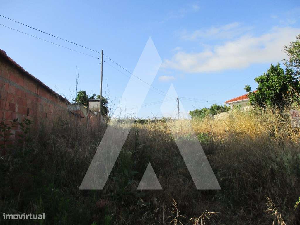 Terreno no Troviscal-1