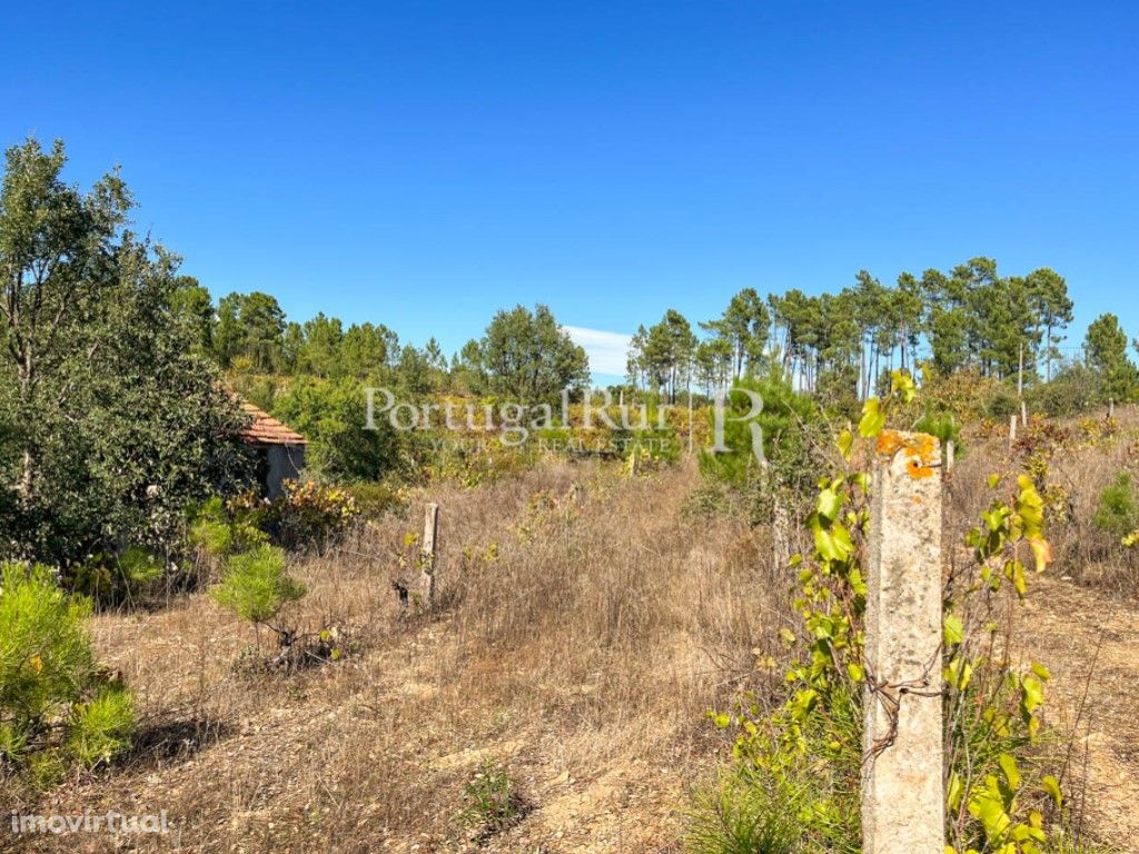 Quintinha com casa para recuperar