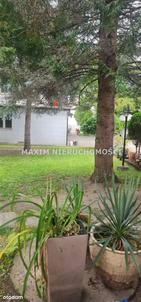 Warszawa 2 domy na działce ul. Beskidzka-8