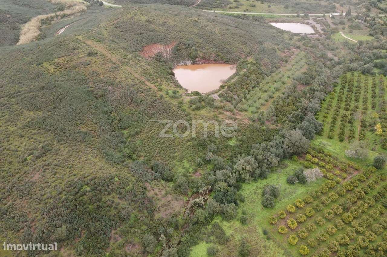 Terrenos Rústicos c/ total de 2.960m2 em Gregórios, Messines - Grande imagem: 5/15