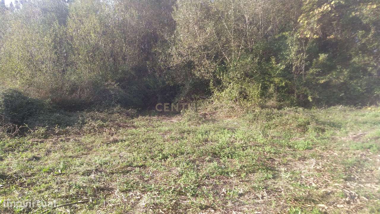 Terreno em Vila Verde com Viabilidade de Construção e Luz Natural - Grande imagem: 5/39