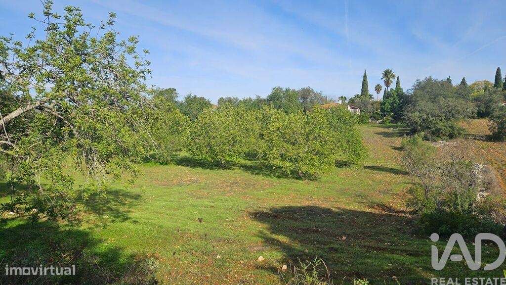 Terreno em Faro - Grande imagem: 4/6