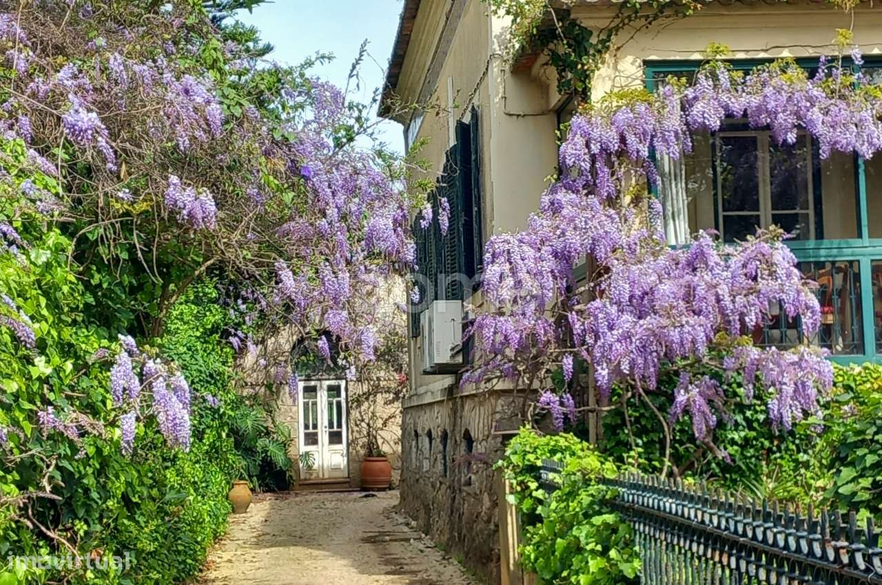 Moradia Familiar com Charme - Grande imagem: 4/21