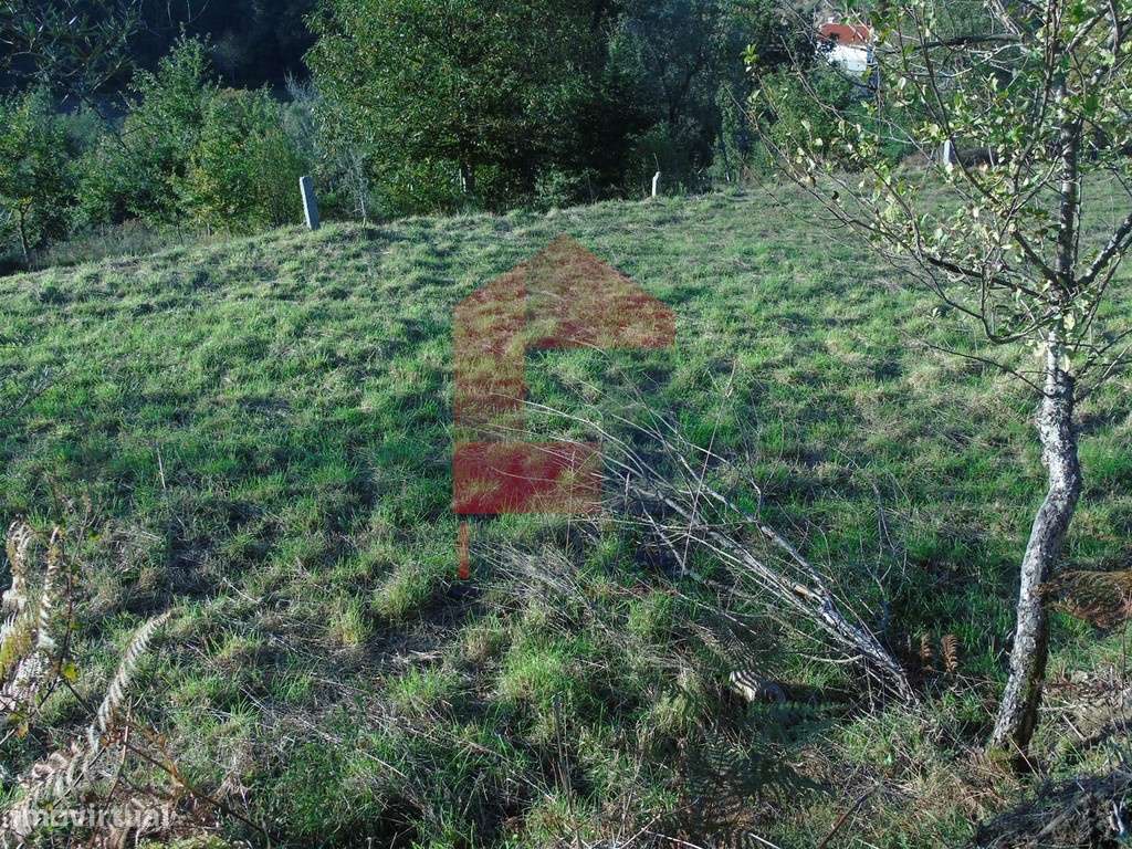 Vende-se Terreno, Pedregais - Grande imagem: 3/7