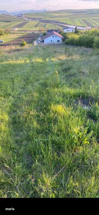 Oportunitate! Teren intravilan de vanzare, 2000 mp., Tureni - Imagine principală: 4/5