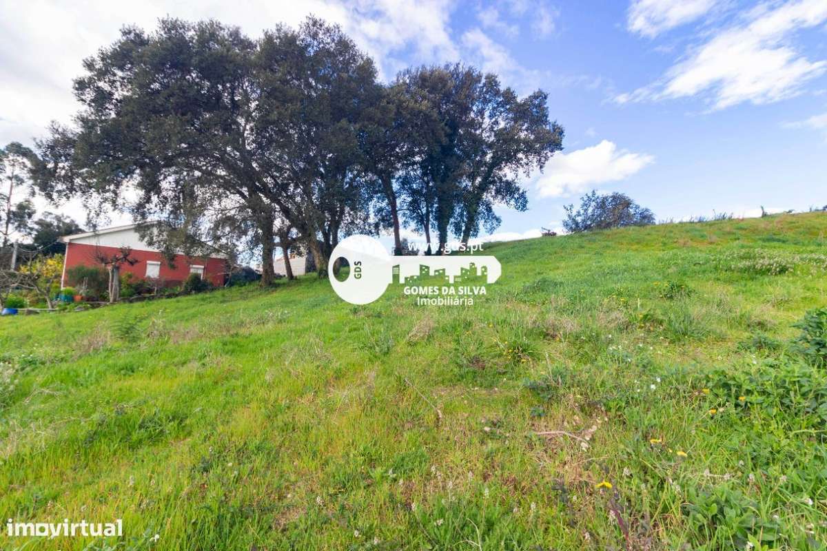Terreno de 4.000m² em Aveleda – Oportunidade de Construção - Grande imagem: 2/24