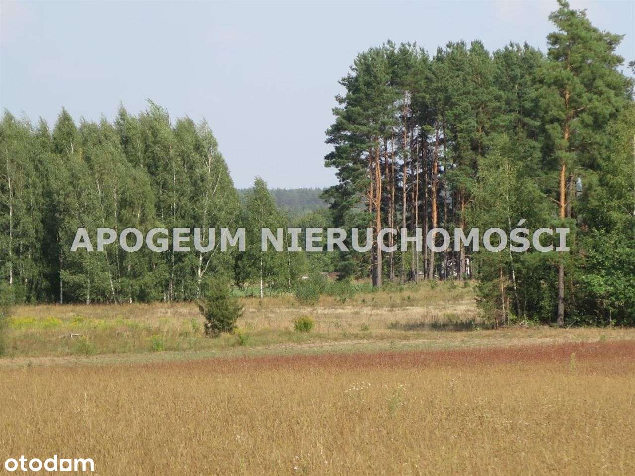 Piękna działka - Ciasne gm. Supraśl-5