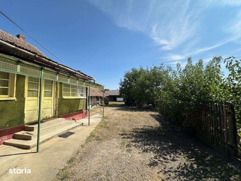 CASA CU TEREN 6060 MP | LOC.  BICACI | BIHOR - Imagine principală: 5/9