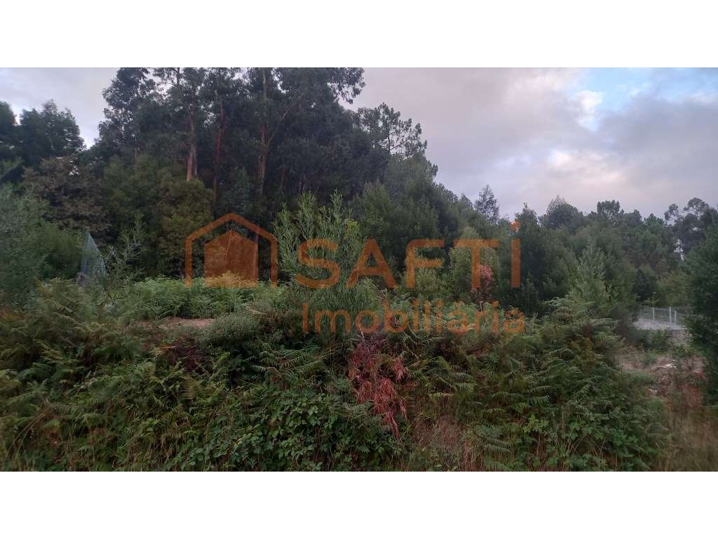 Terreno para construção - Grande imagem: 2/2