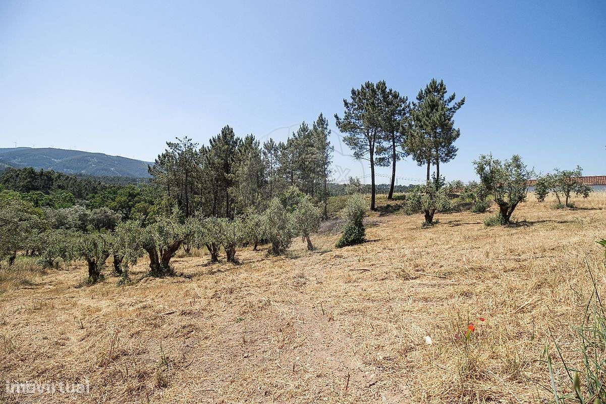 Terreno  para venda-9