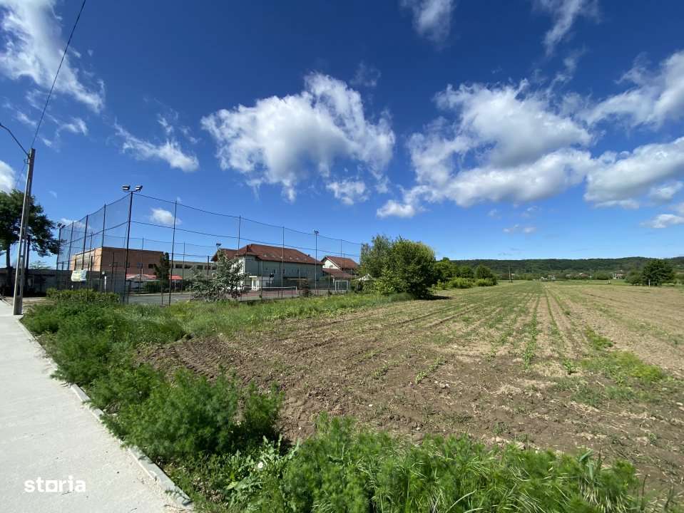 Teren intravilan 7.295 mp – Argeselu, Maracineni, AG - Imagine principală: 4/7
