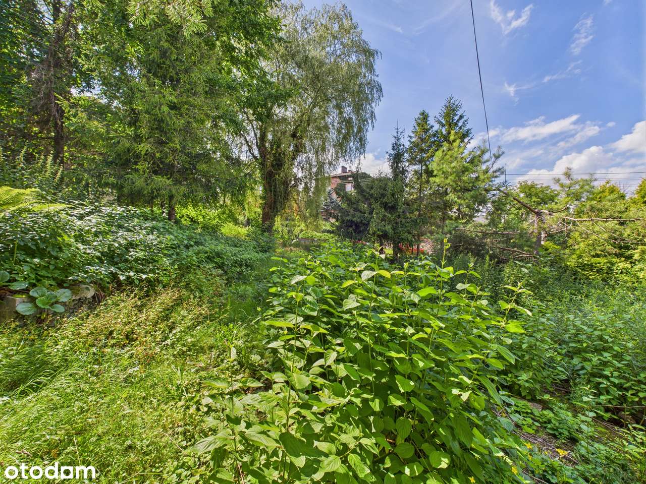 Zielona Działka z Własnym Źródłem i Stawem w Świetnej Lokalizacji!-18