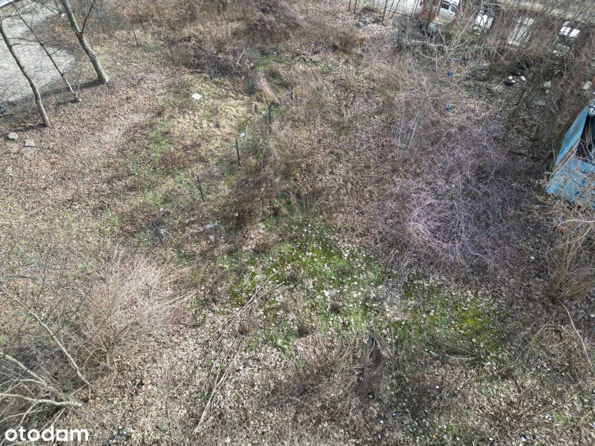 Teren z Pnb koło Manufaktury-6