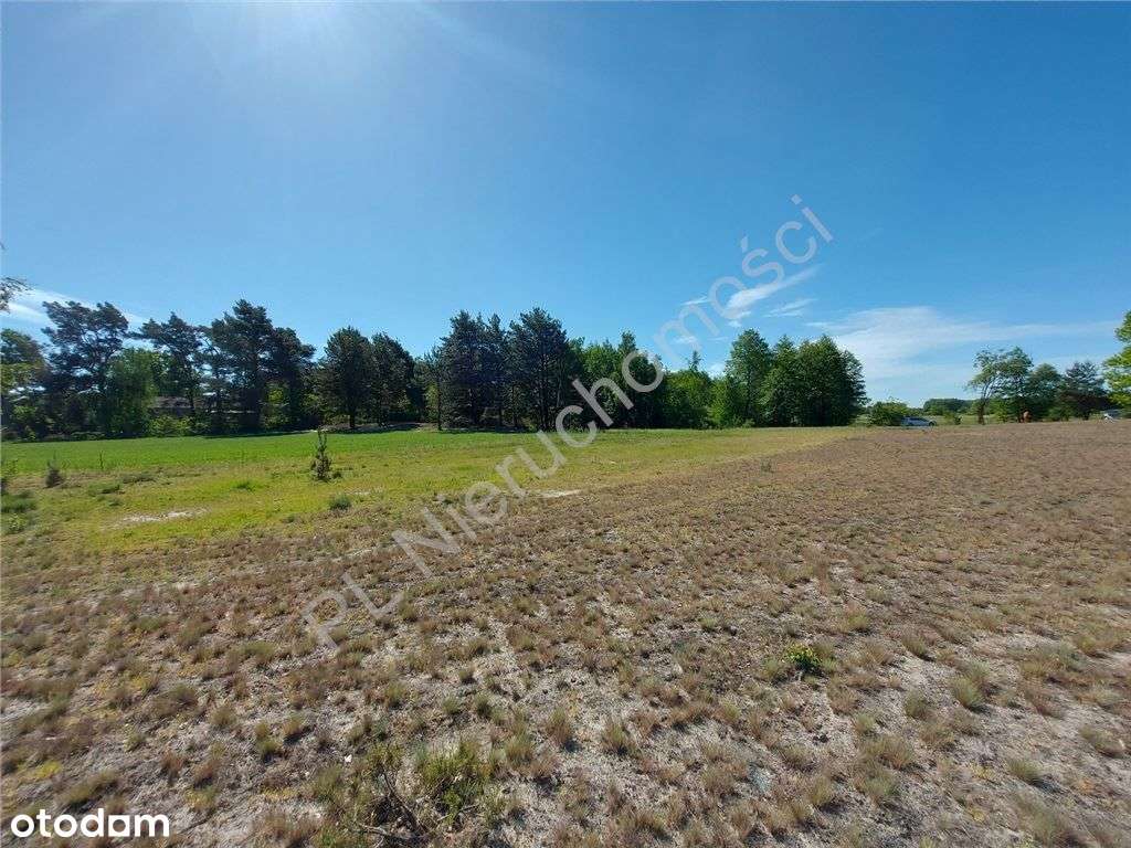 Dogodne Wymiary, Media, Magiczny Widok.-2