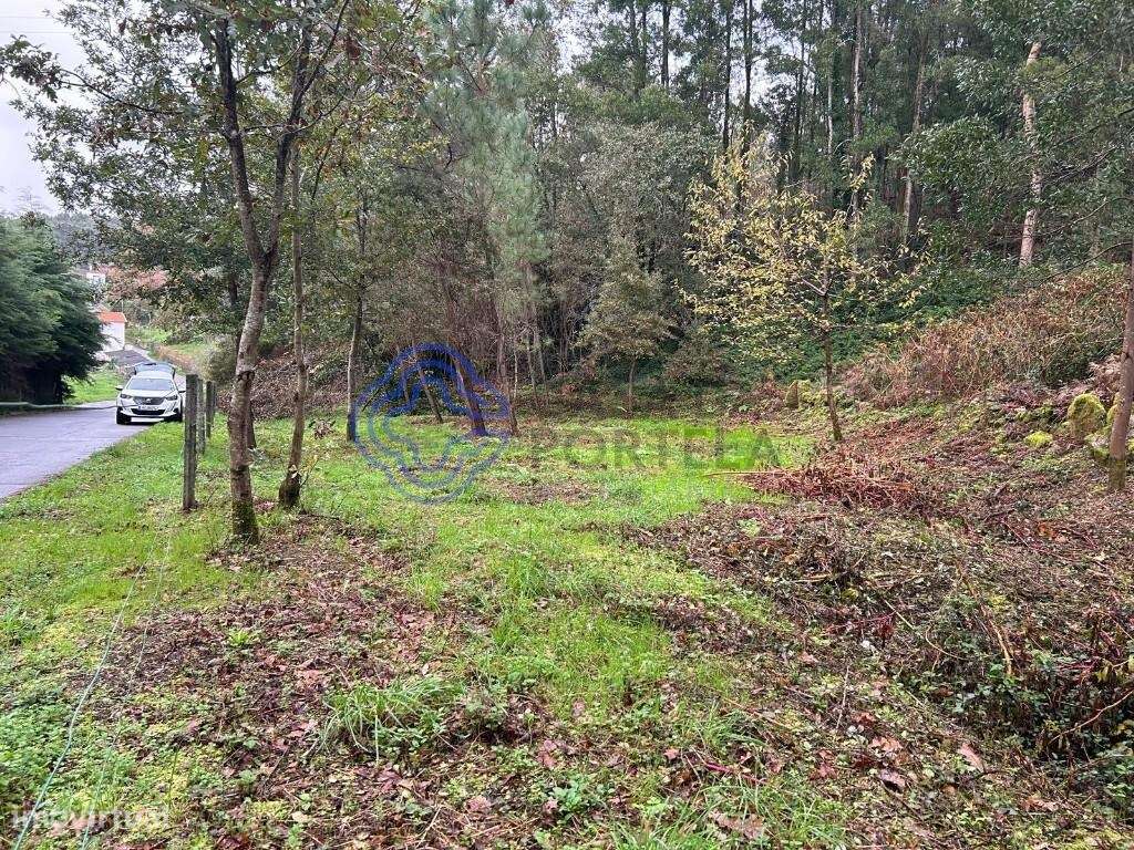 Terreno, Ganfei, Valença - Grande imagem: 3/18