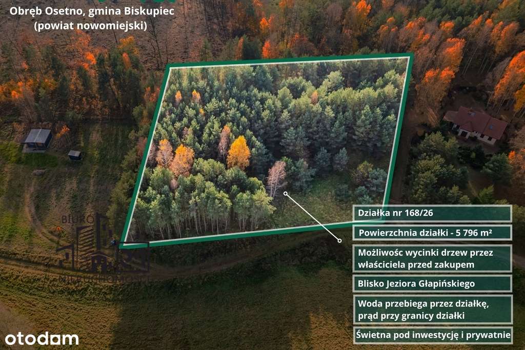 Duża działka rekreacyjna przy Jeziorze Głowińskim-2