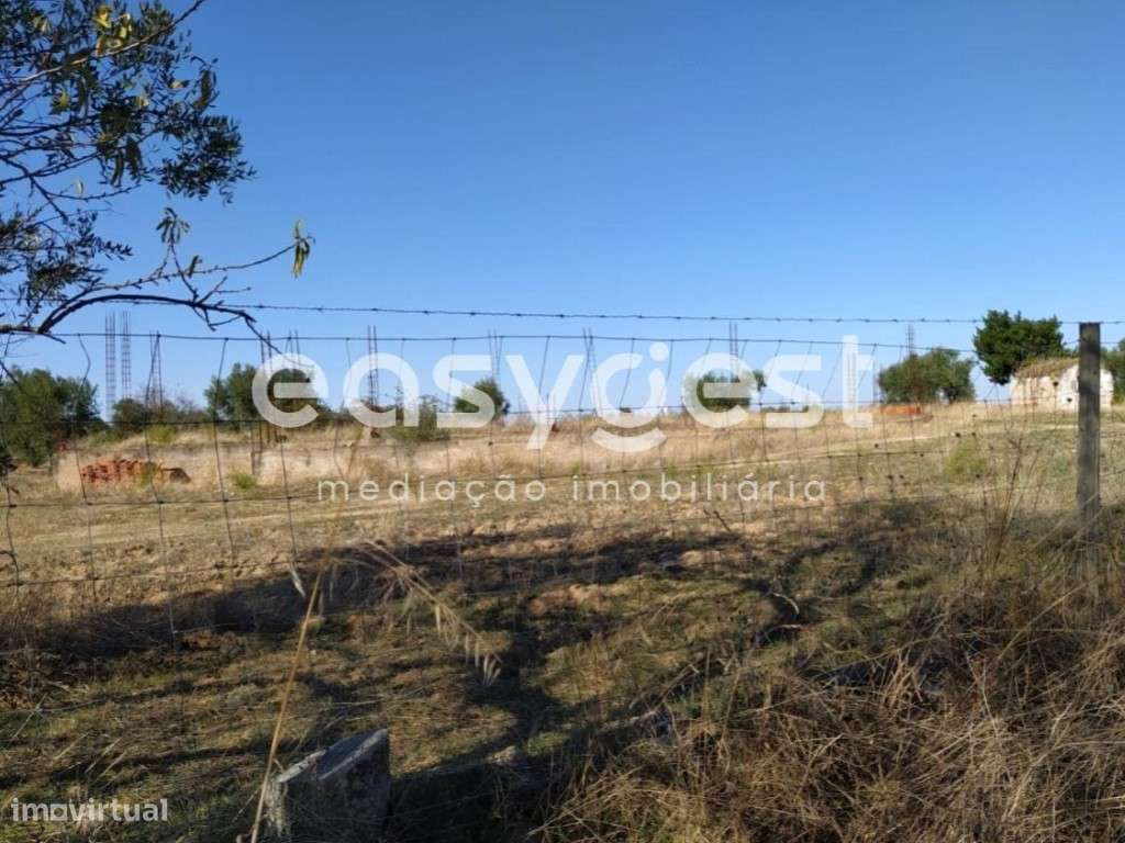 Monte em Ruinas com 2,6 hectares às portas de Reguengos de Monsaraz - Grande imagem: 3/14