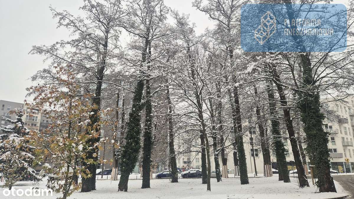 Klucze w styczniu❗Świąteczna okazja❗Inne układy❗ - Pełny obrazek: 4/17