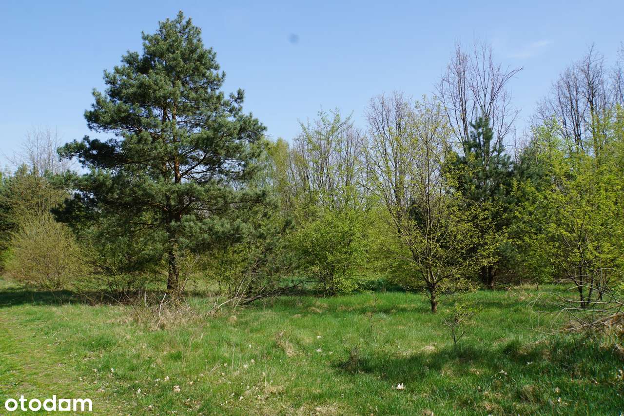 Działka, 820.0 m², Sulejówek-6