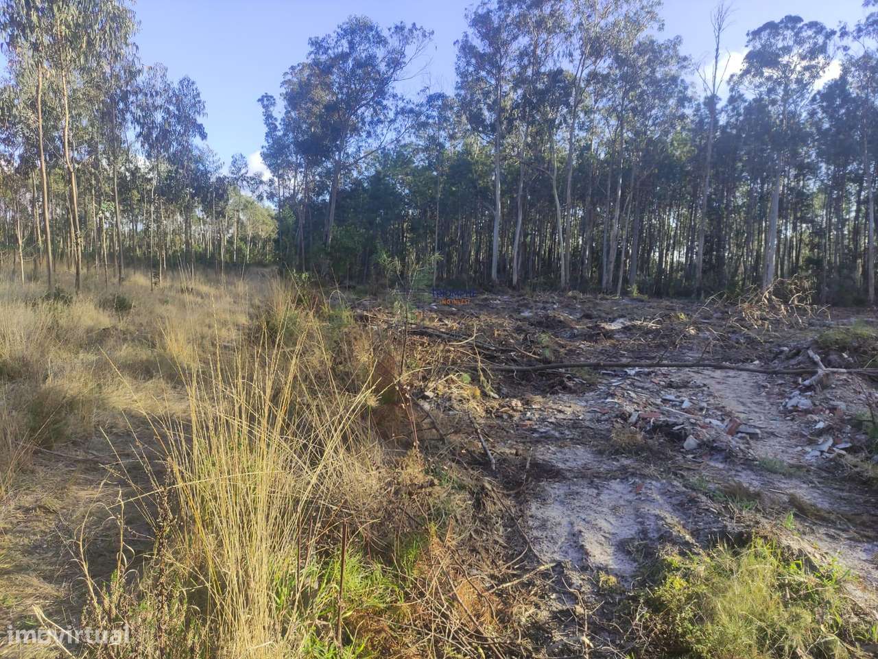 Terreno Rústico com cerca de 4.700 m2 Fonte Santa, Marinha Grande - Grande imagem: 5/25