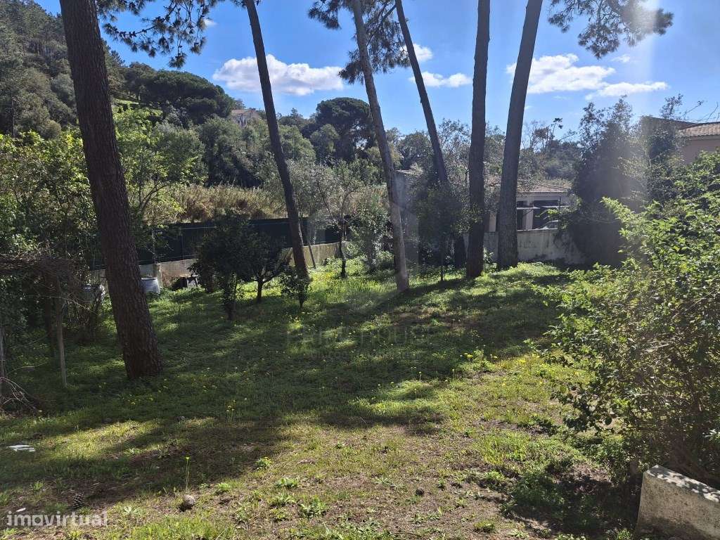 Moradia de Tradicional com Piscina em Lote de 2135 m² - Cotovia-58