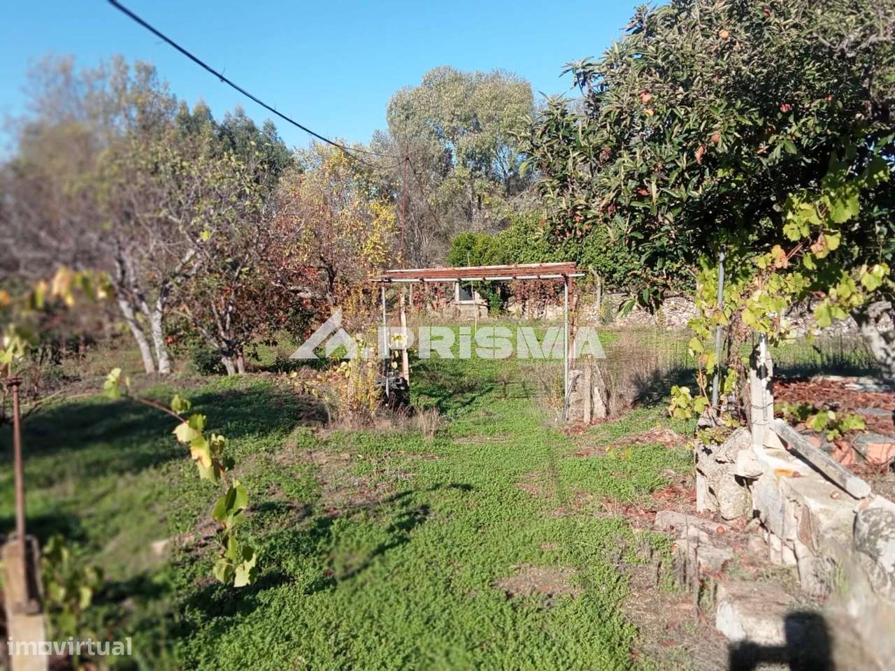 Quintinha para venda com construção rural para venda em Escalos de Bai-22