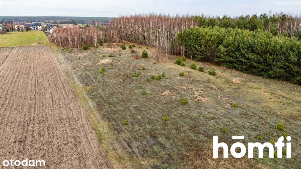Działka rolna z potencjałem budowlanym - Pełny obrazek: 5/9
