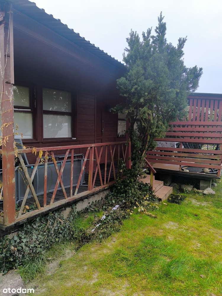 Działka ROD - bardzo atrakcyjna oferta - jezioro, las, piękna okolica - Pełny obrazek: 4/8